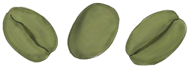 Green Coffee