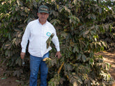 Amarildo poses in front of a Yellow Catuai coffee plant at his farm