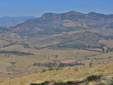 A patchwork of coffee and other crops paint a beautiful picture on the rolling hills of the Mantiqueira de Minas mountain range.