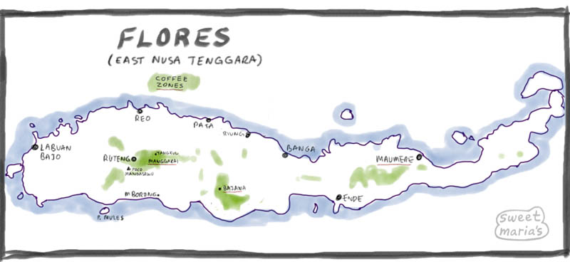 Flores