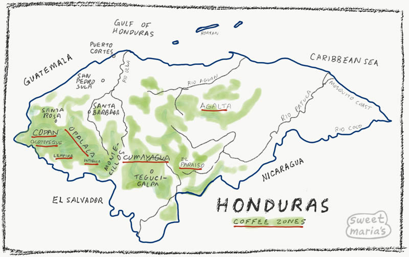 Honduras coffee production map - Sweet Maria's coffee