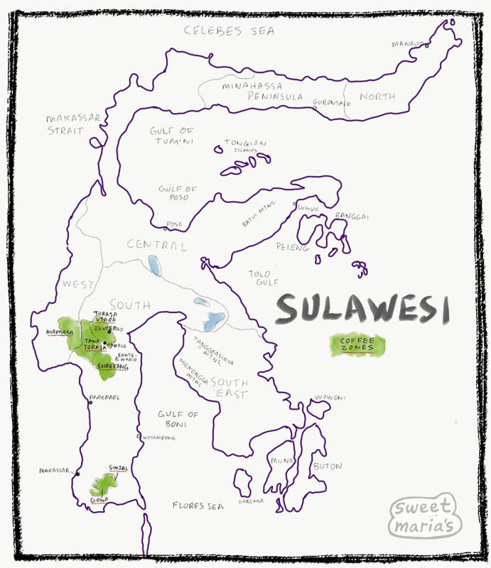 Sulawesi