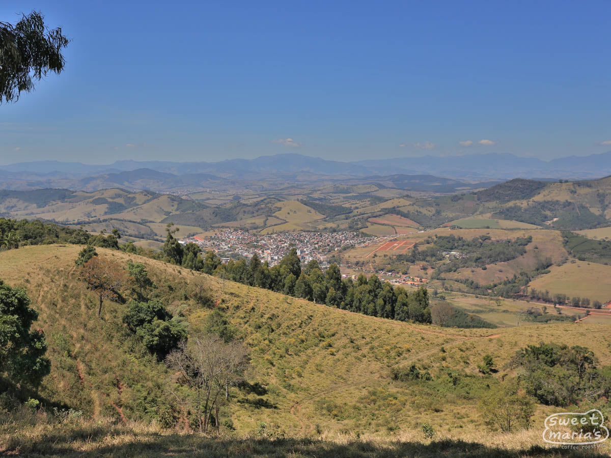Typical rolling hills of the Southern Minas growing region. This is in Carmo de Minas.