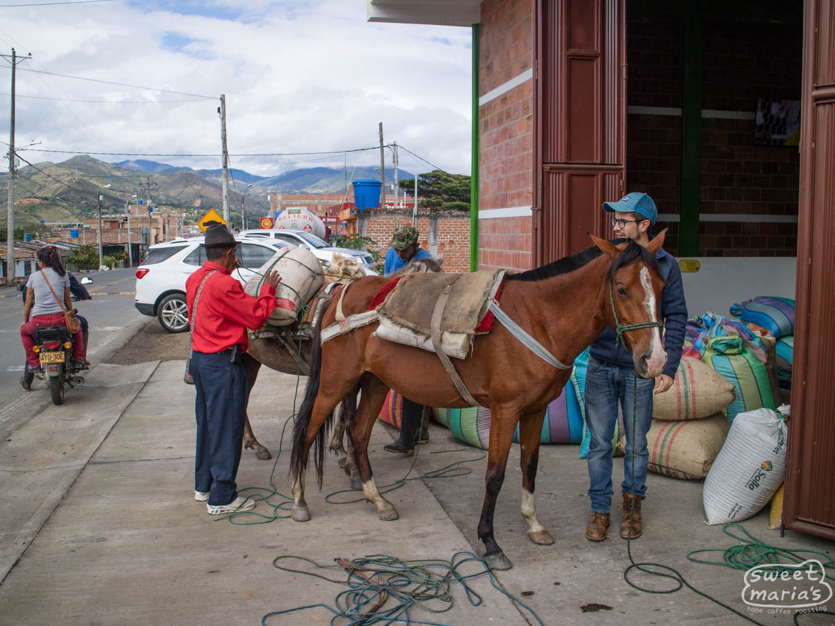  Nariño.