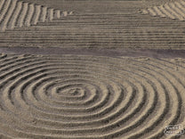 Coffee raked into interesting patterns at a Costa Rican mill.
