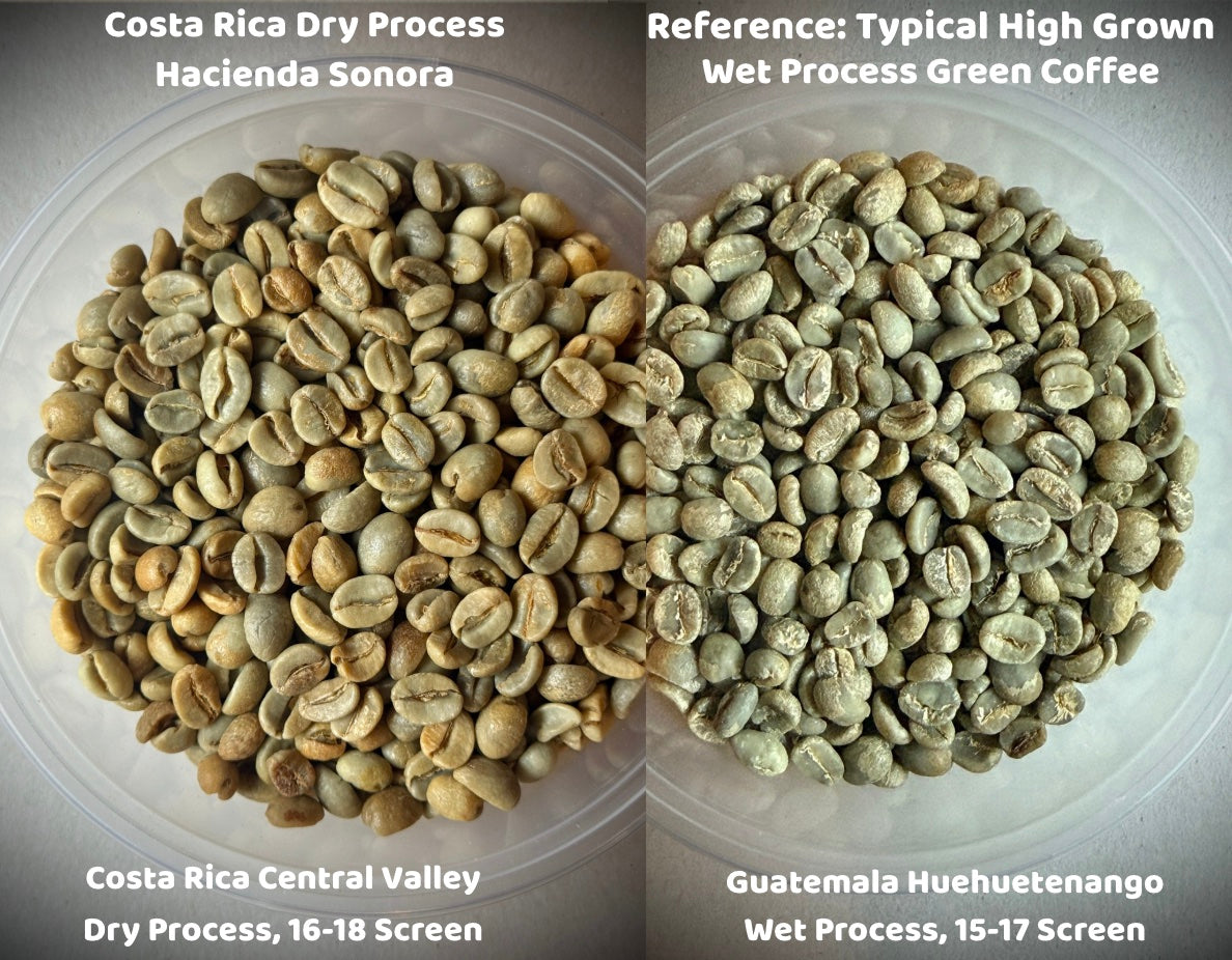  while the yellow-toned coffee in the center-left is honey process. Both dry on tarps under the sun at Hacienda Sonora.