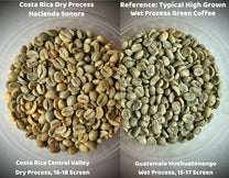  while the yellow-toned coffee in the center-left is honey process. Both dry on tarps under the sun at Hacienda Sonora.