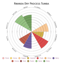 Dark red cherries are nearly dried on the raised beds at Tumba site, Rulindo, Rwanda.