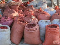 Coffee cherries dry on raised beds at a site in Yabitu Koba, Uraga, Ethiopia.