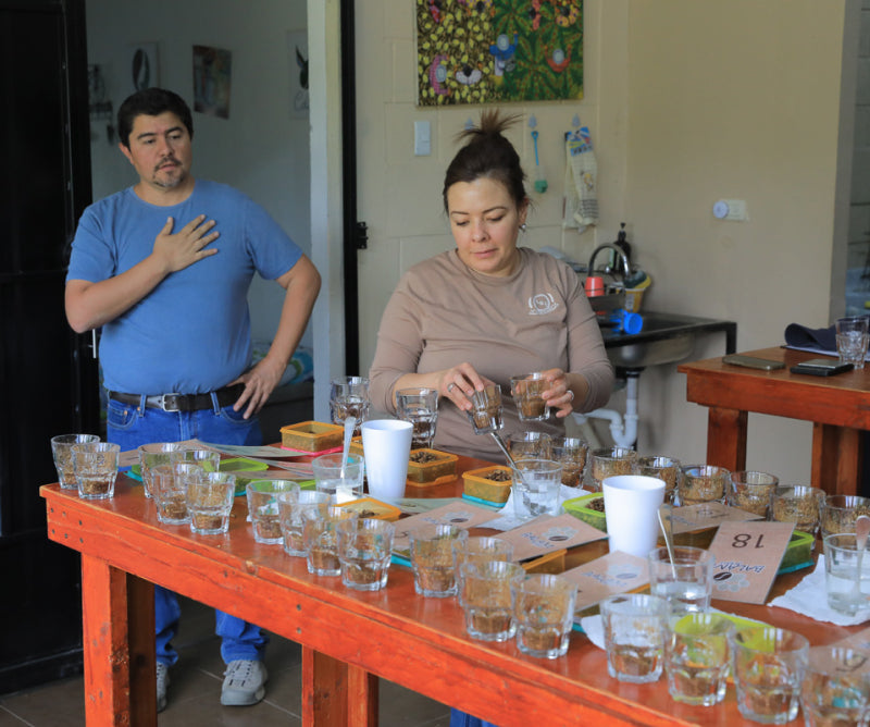 Fredy and Yadira preparing a cupping table. Guatemala 2026.