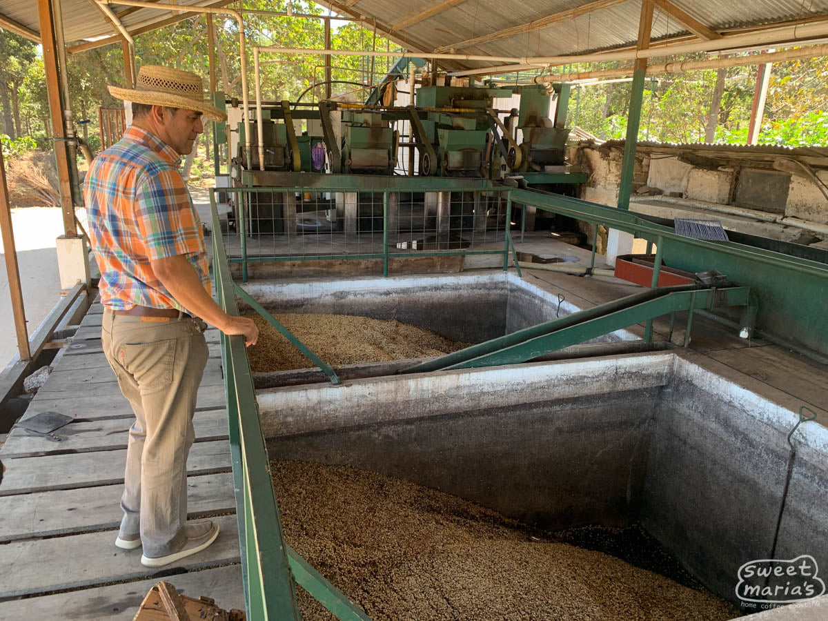  at his coffee farm in San Martin Jilotepeque