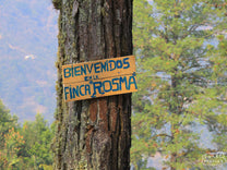 A hand-painted welcome sign hangs on a tree at the entrance to Finca Rosma.