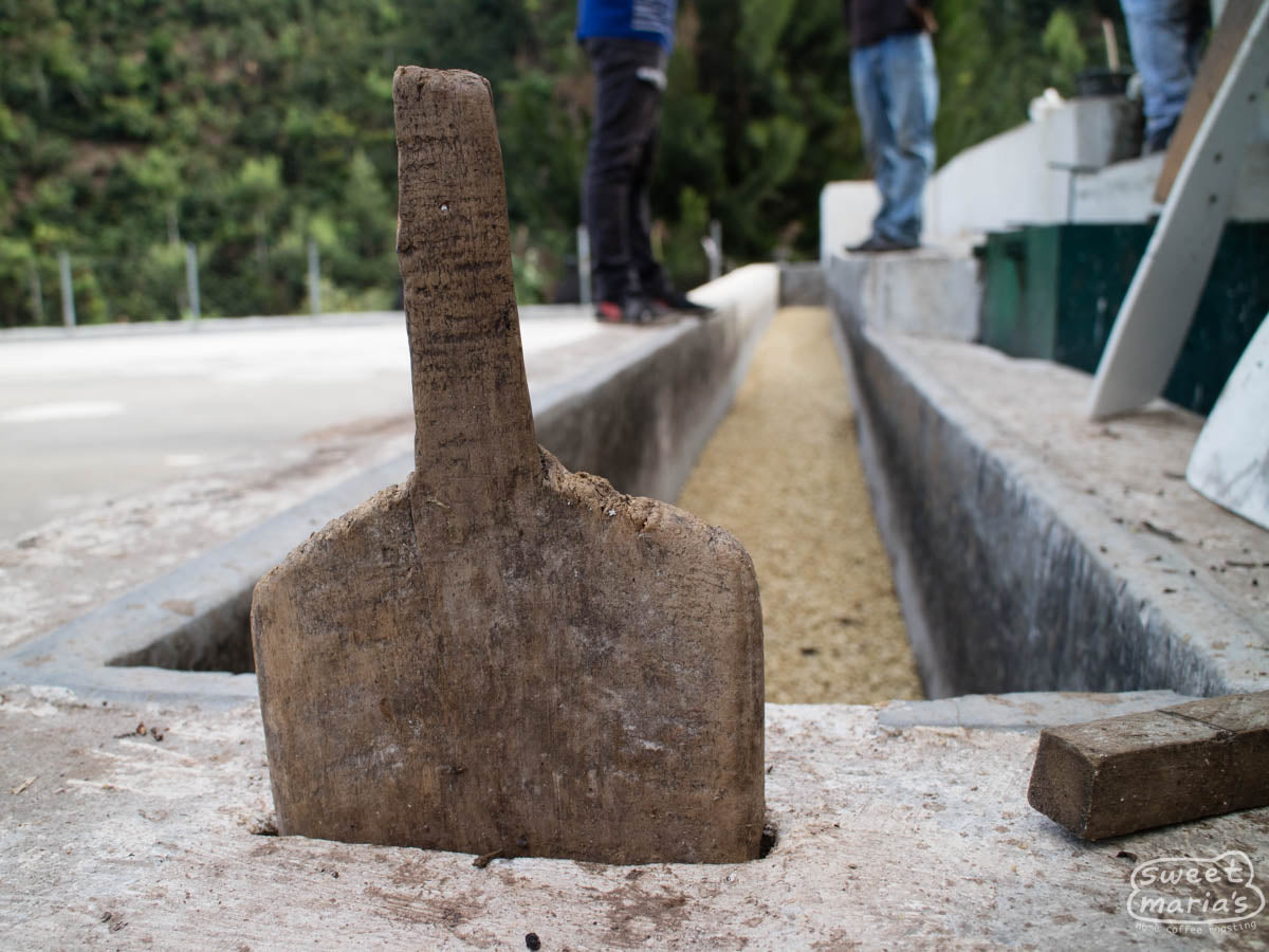  Guatemala.