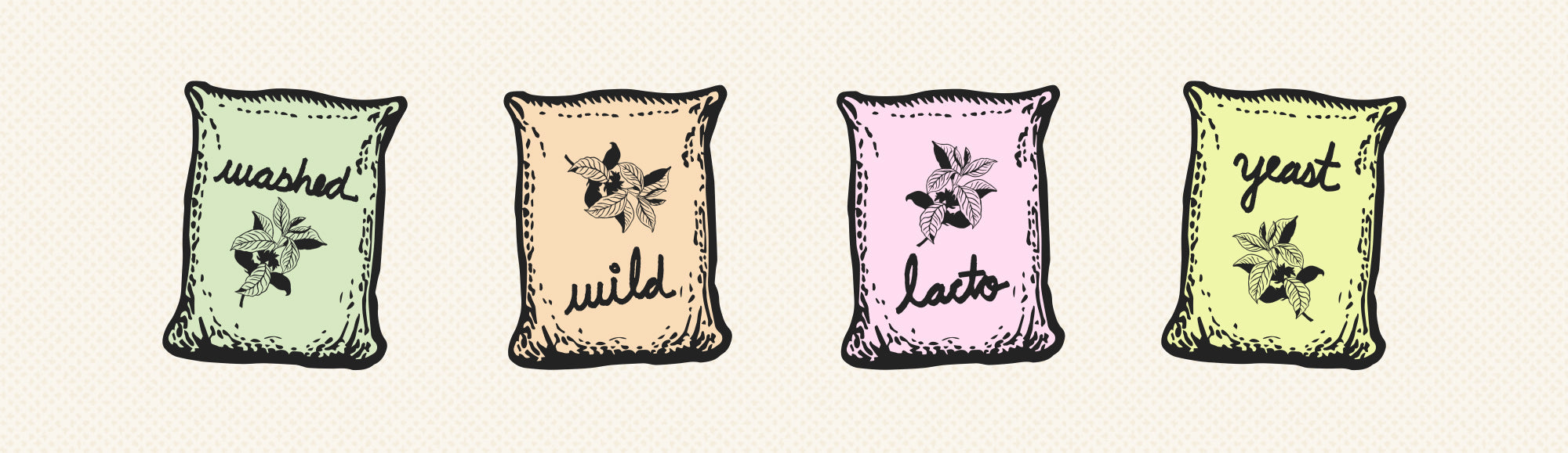 An illustration of four jute bags in different colors (green, orange, pink and yellow), each labeled a different fermentation method: washed, wild, lacto and yeast.