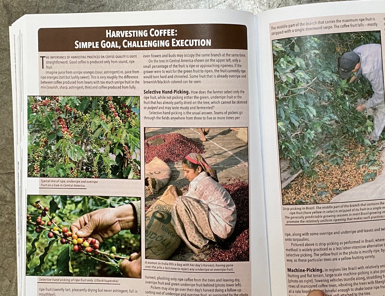 COPYWRITING IDEAS 93 9DISC ダンケネディ 21st Century Coffee: A Guide by Kenneth Davids – Sweet Maria's