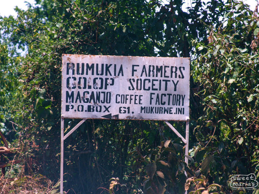 The pink hand-painted sign that marks the entrance to Maganjo reads, Rumukia Farmers Coop Society, Maganjo Coffeee Factory