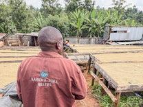 Farm manager Moses looks out on the wood-framed raised drying beds at Spike farm and coffee processing site in Kiambu.