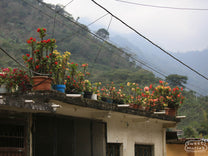  Mexico.