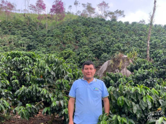 Ronal Carranza at his farm, Guardian del Bosque, in Gracias a Dios, Peru.