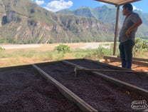 Ronal Carranza at his farm, Guardian del Bosque, in Gracias a Dios, Peru.