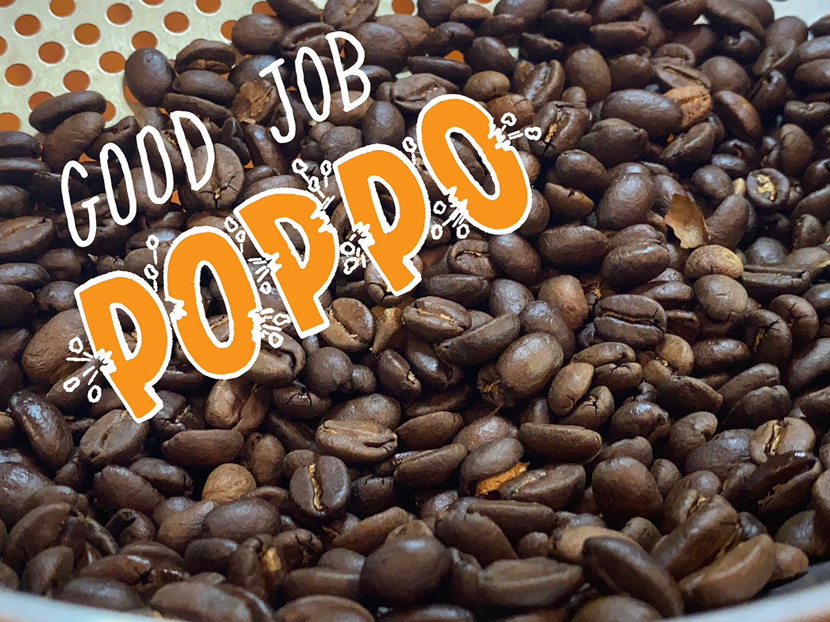 Poppo Air Popcorn Kit – Sweet Maria's