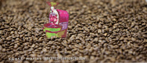 Roasted Coffee Subscription