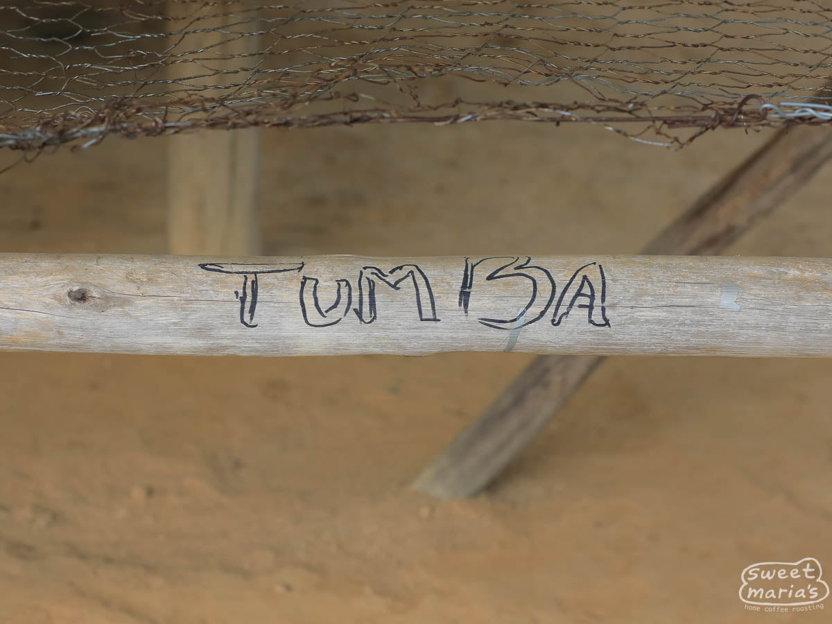  Rulindo