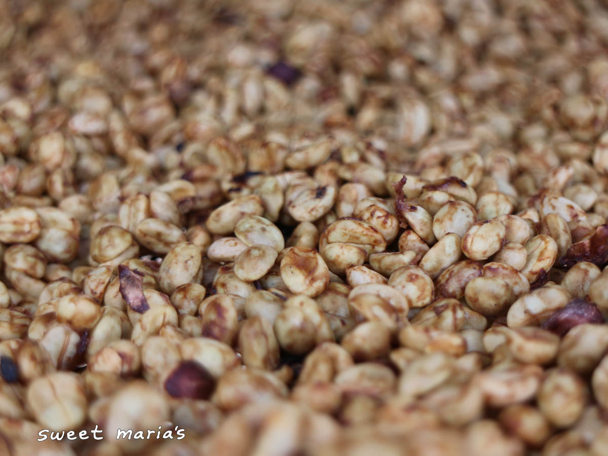 Honey process coffee with fruit mucilage still intact that has turned a dark red color as it dries. Vereda Páramo, Aponte.