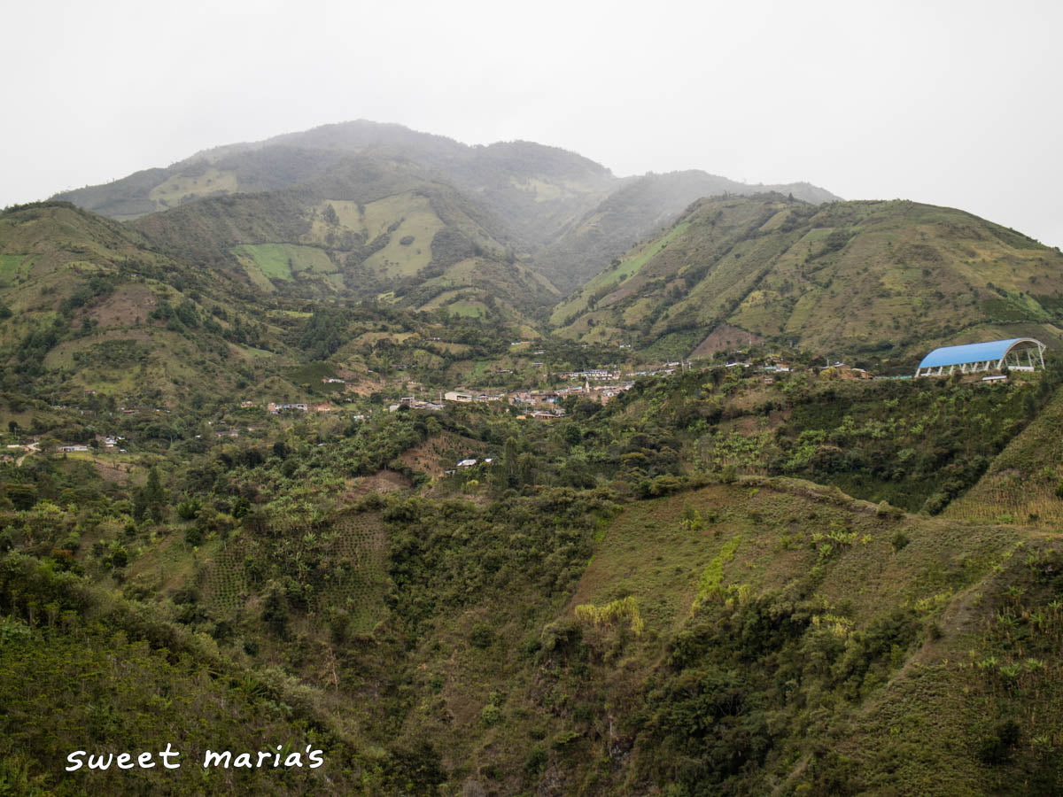 A view of the misty paramo region of Aponte from the opposite hillside.