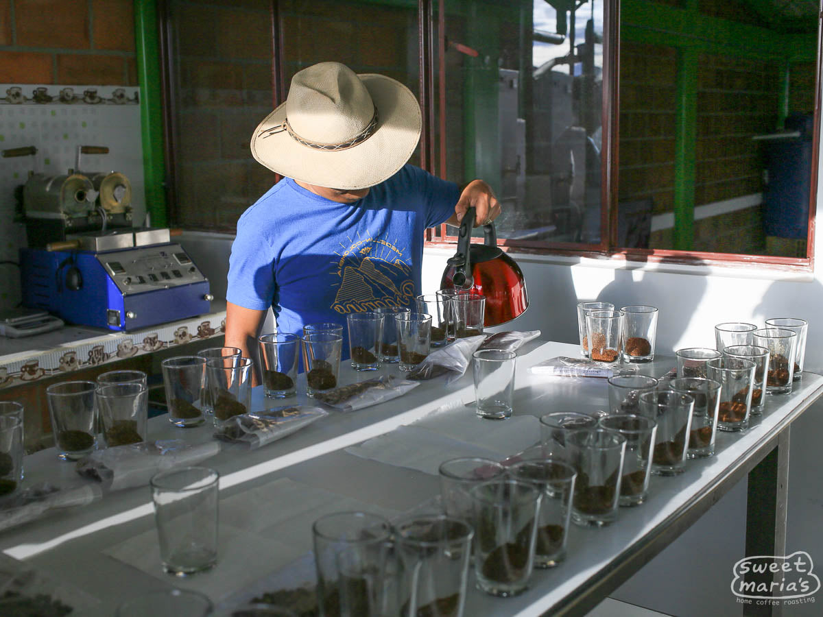 Pouring hot water on a table of fresh farm samples at an association in Buesaco.