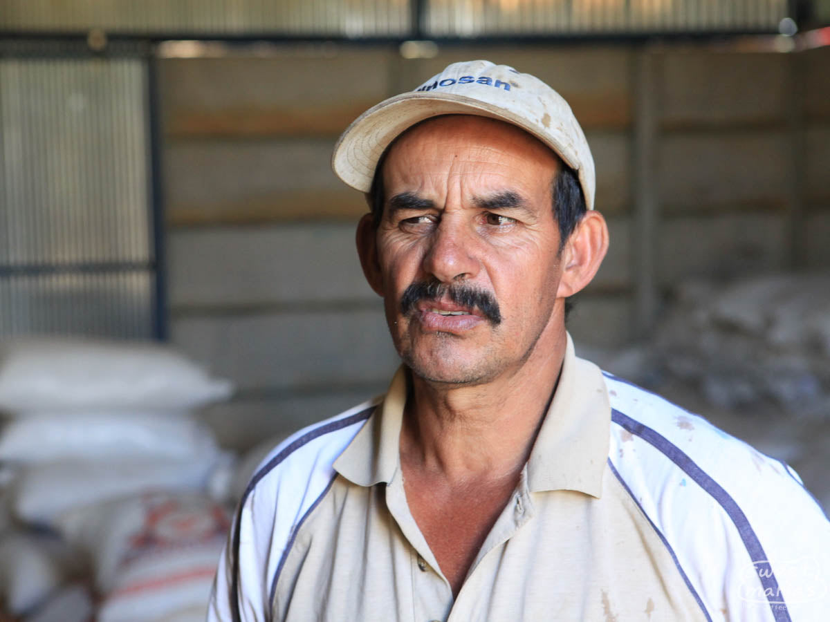 Ricardo Calderon of Beneficio Los Angeles takes us on a tour of his micro-mill and farm. This was from 2011.