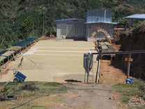 Coffee dries on patios and raised beds at Beneficio Los Angeles in Dota, Tarrazu.