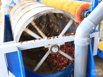 The spinning "criba" separates pulped cherries and debris from the coffee by allowing only the small seeds to pass through a grid drum and on to the drying beds. Tarrazu region.