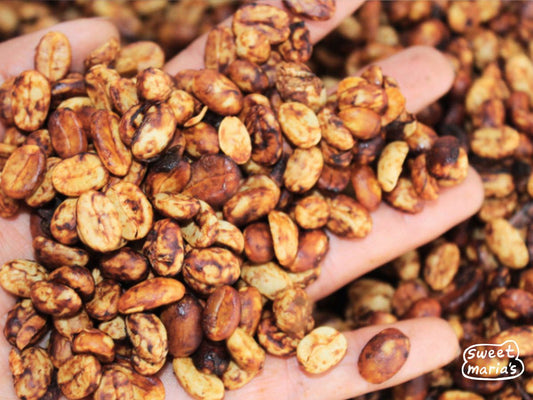 Dark red coloring of a black honey coffee at Reina Elizabeth mill in West Valley, Costa Rica.