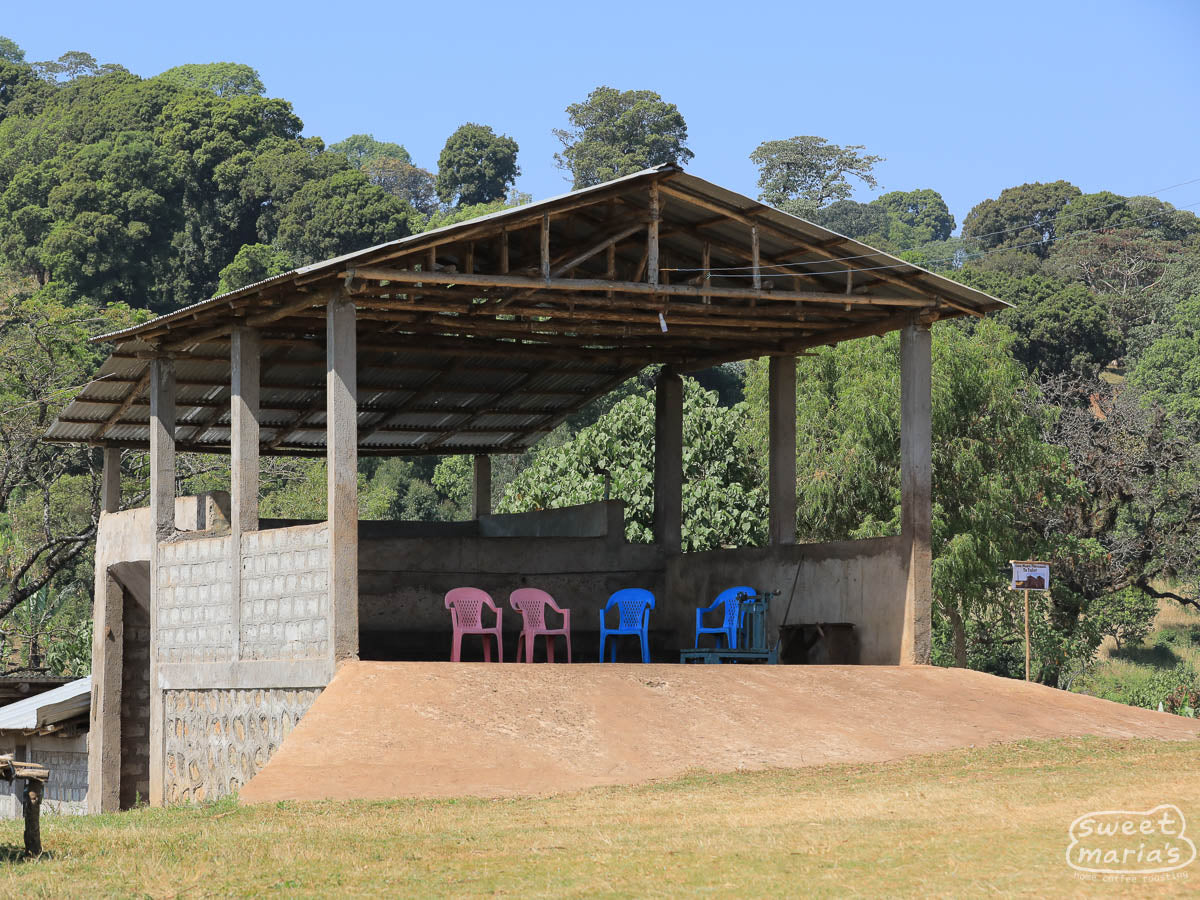 Blue and red chairs under a shade canopy of a wet mill near Bobea.