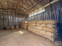 Jute bags filled with dried coffee rest in the cool shade of a warehouse near Geruke.