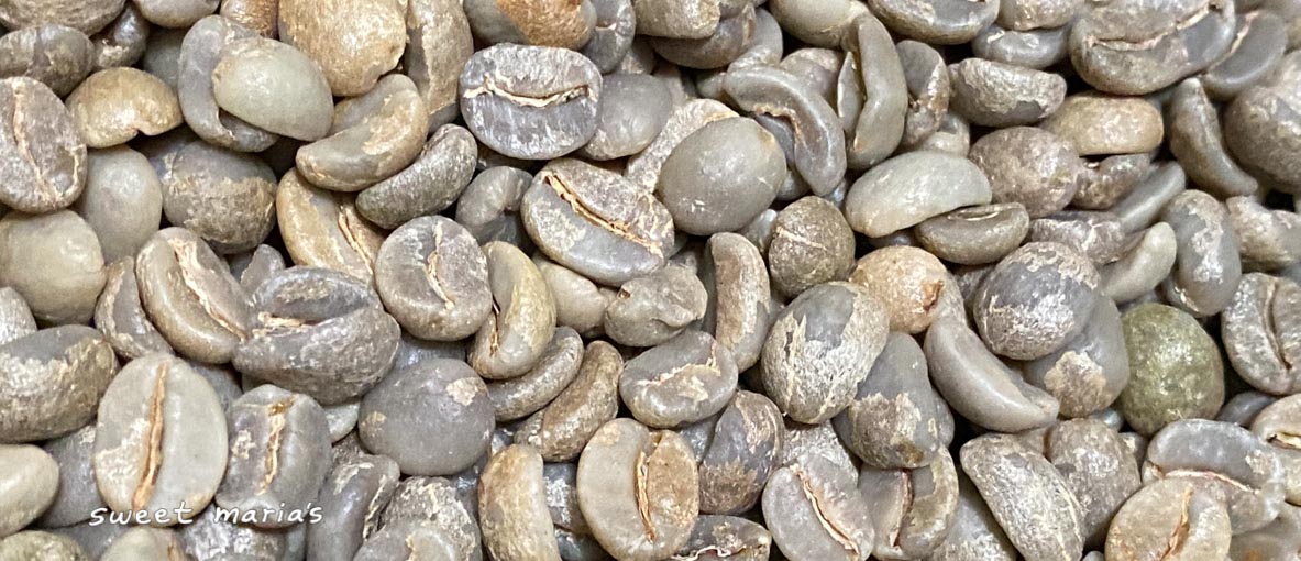 Sweet Maria's Espresso Monkey Blend