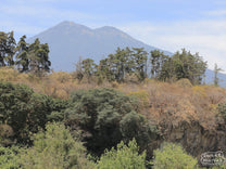 Lush natural forest at San Miguel Urias, with a view of the volcanos in the background.