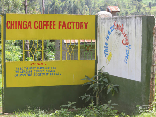 The brightly painted yellow gate at the Chinga Coffee Factory, where cooperative members deliver ripe cherries for processing. Othaya, Nyeri, Kenya.