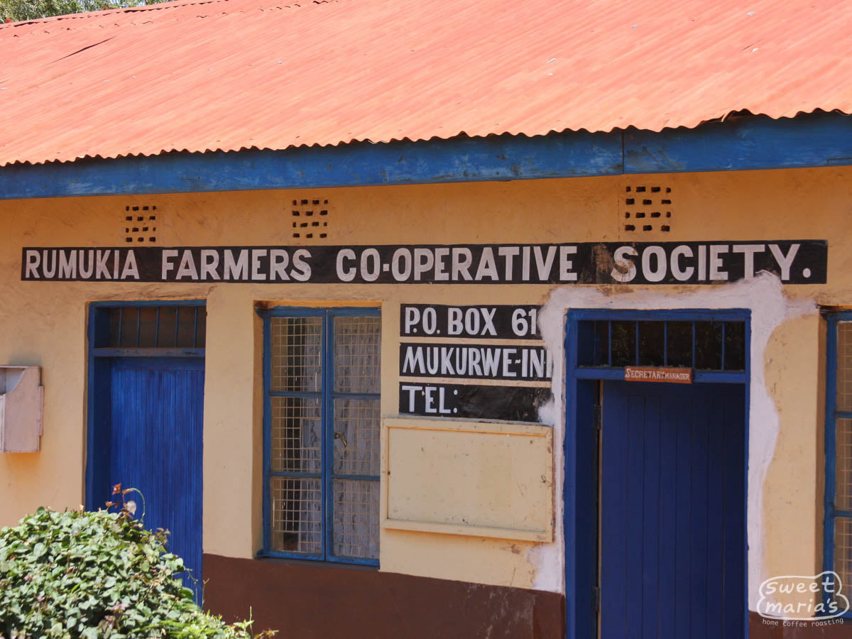 The front office at the Rumukia Farmers Co-Operative Society in Nyeri, Kenya. Several green coffee Factories are under the Rumukia umbrella, including Gaikundo.