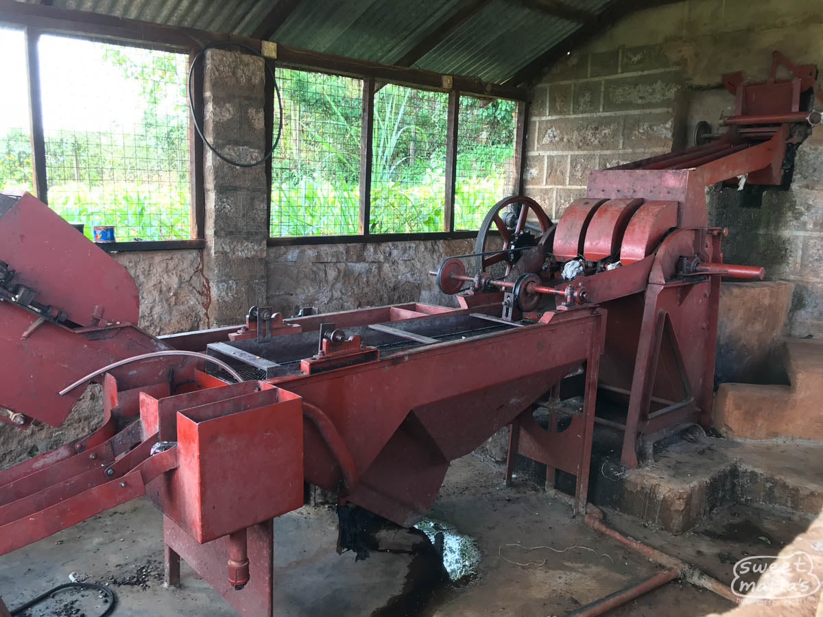 The red disc pulper at the Fram Farm coffee site that is used to remove the outer cherry from the green coffee seeds.