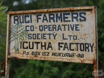 The weathered, but beautifully hand-painted sign at Igutha factory that states it's part of Rugi Farmers Cooperative Society, and has an illustration of a coffee shrub.