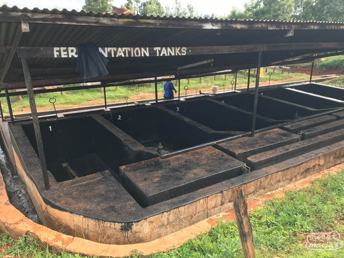 Cement fermentation tanks at Rukira Factory washing station in Nyeri.