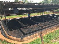 Cement fermentation tanks at Rukira Factory washing station in Nyeri.