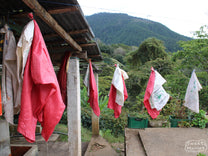 Mylar bags used to collect harvested coffee cherries hang-dry at Los Alpes.