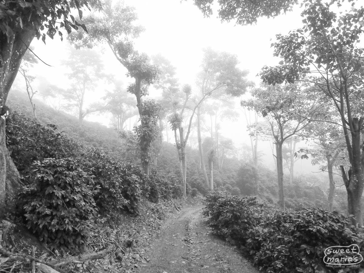  Nicaragua.