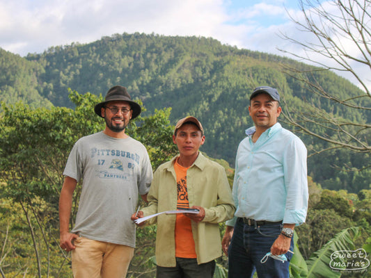 L to R: Pablo who is in charge of quality control, Hector who manages Monte Libano and Los Alpes, and Olman whose family own Cafetalera Buenos Aires, at the bottom of Monte Libano coffee farm. Dipilto region, Nicaragua.