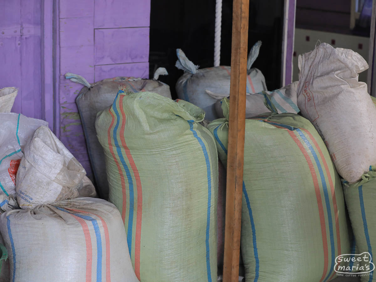 Mylar bags filled with coffee from the harvest at Aulia's home in Kute Panang.