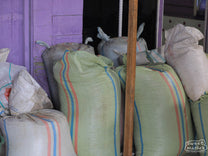 Mylar bags filled with coffee from the harvest at Aulia's home in Kute Panang.