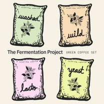 A graphic for the Fermentation Project green coffee set with four jute bags of different colors, each one labeled with one of the fermentation methods: washed, wild, lacto and yeast.